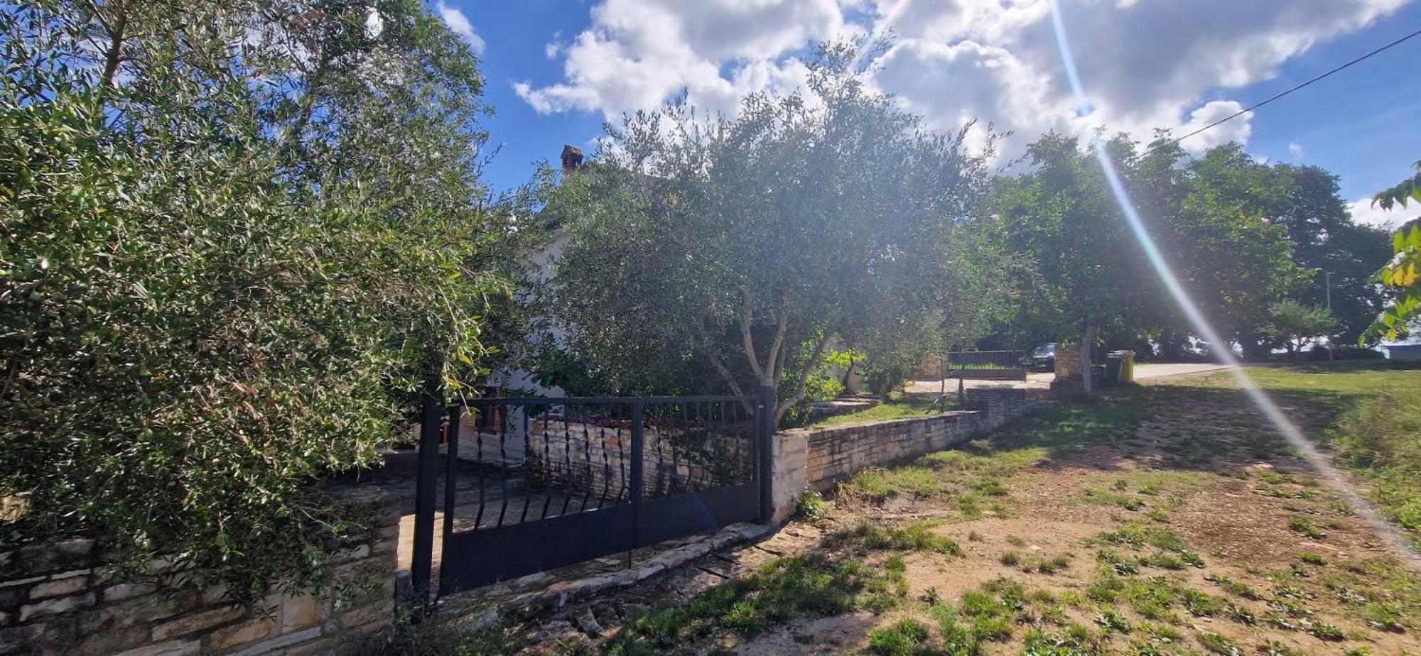 Villa Mimosa Novigrad Istria Buitenkant foto